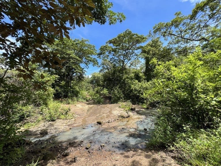 ll2200260_img-16_large-min