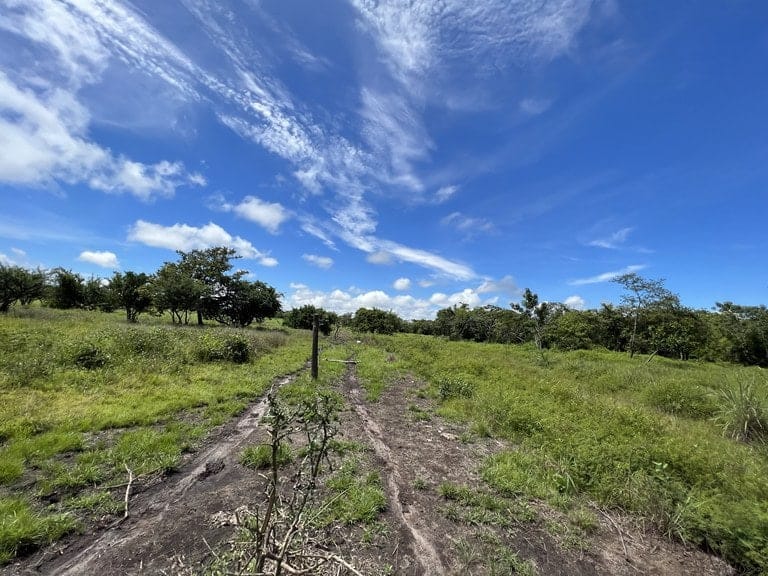 ll2200260_img-17_large-min