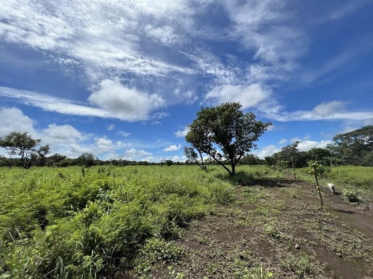 ll2200260_img-19_large-min