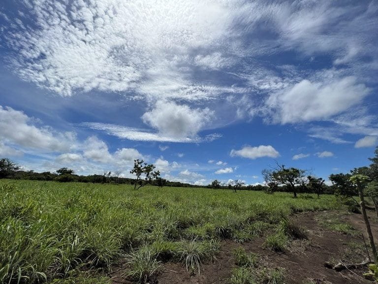 ll2200260_img-20_large-min