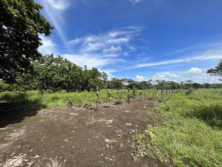 ll2200260_img-21_large-min