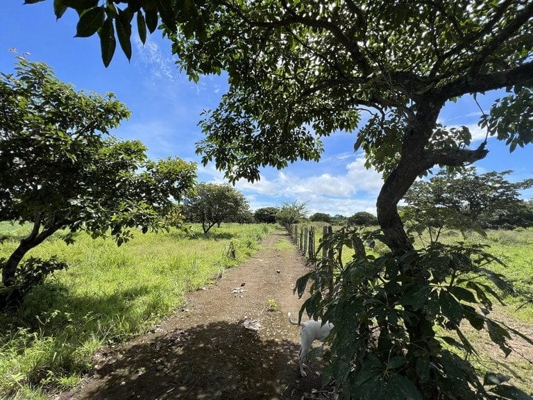 ll2200260_img-22_large-min