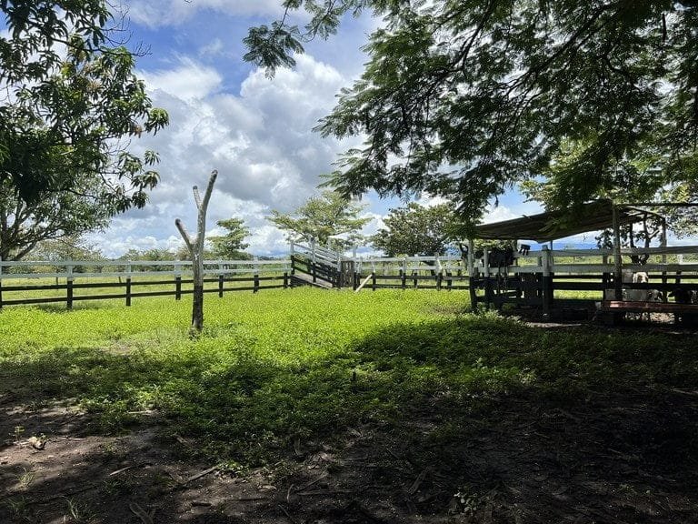 ll2200260_img-26_large-min