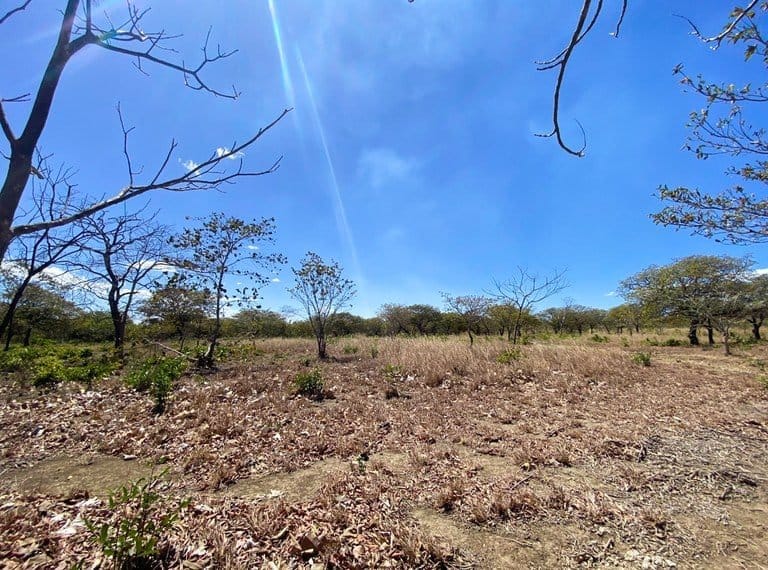 ll2200260_img-5_large-min