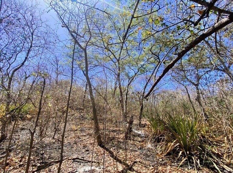 ll2200260_img-6_large-min