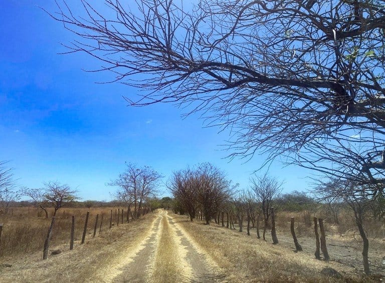 ll2200260_img-7_large-min