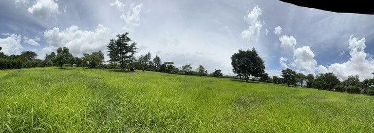 ll2200265_img-10_large-min