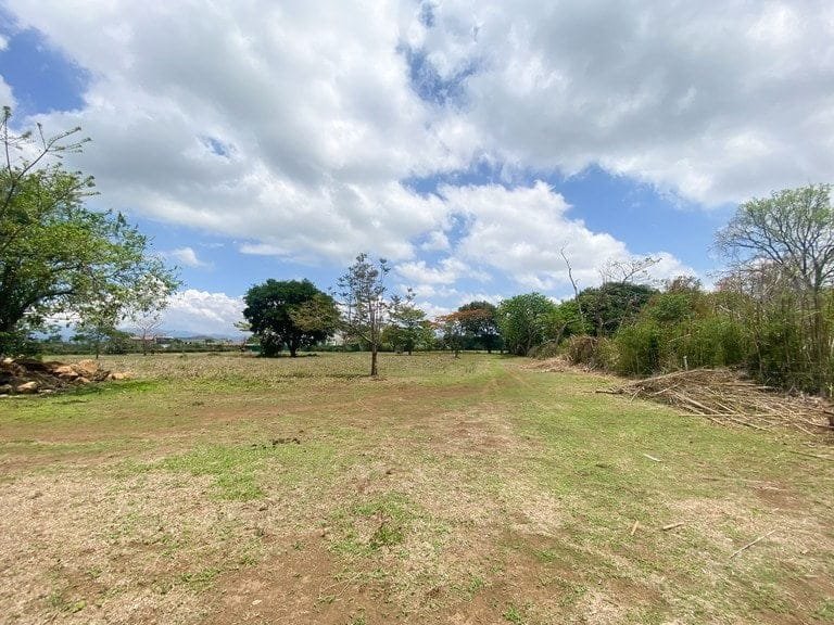 ll2200265_img-2_large-min