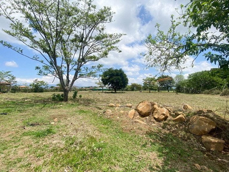 ll2200265_img-3_large-min