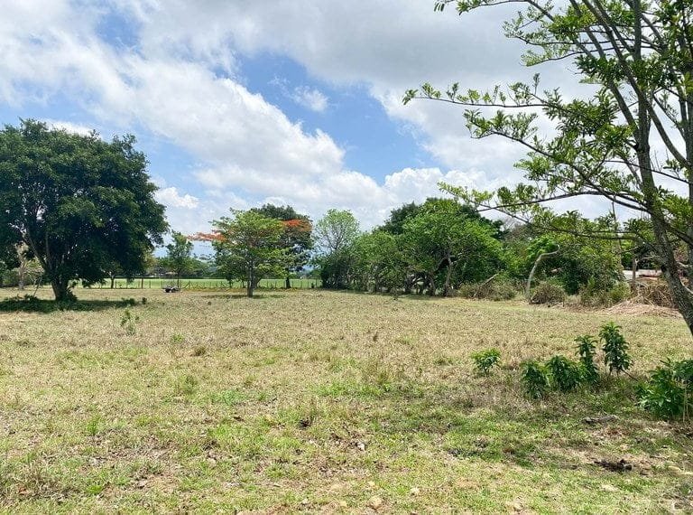 ll2200265_img-4_large-min