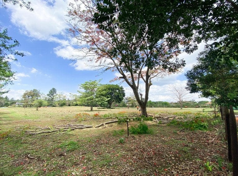 ll2200265_img-7_large-min