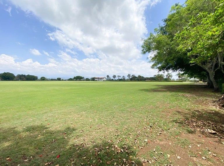 ll2200265_img-8_large-min