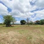 ll2200265_img_large-min