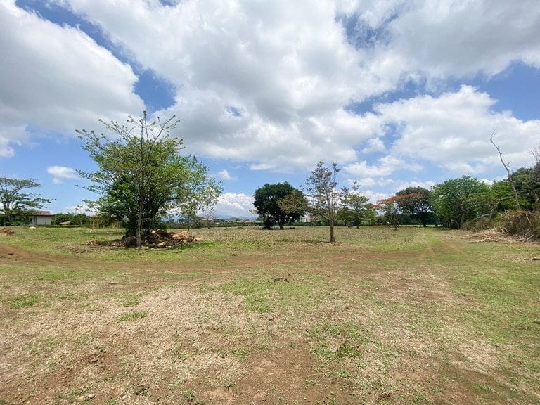 ll2200265_img_large-min