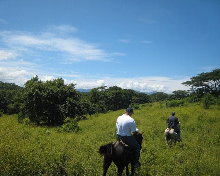 ll2200289_img-13_large-min