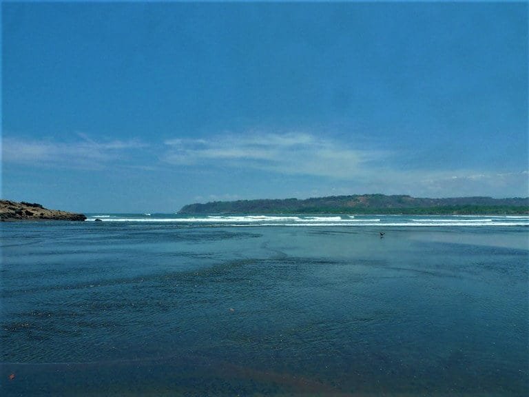 ll2200289_img-5_large-min