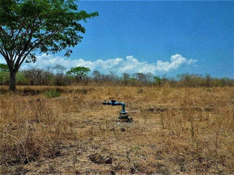 ll2200289_img-6_large-min