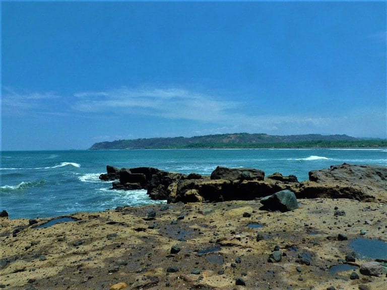 ll2200289_img-8_large-min