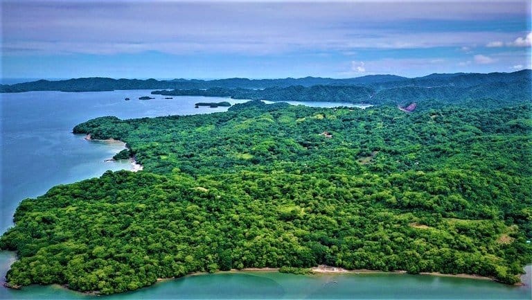 ll2200306_img-5_large-min