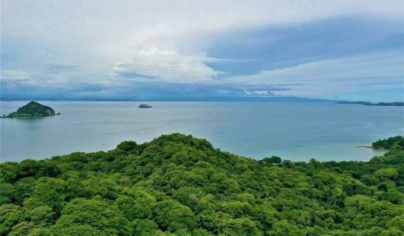 ll2200306_img-7_large-min