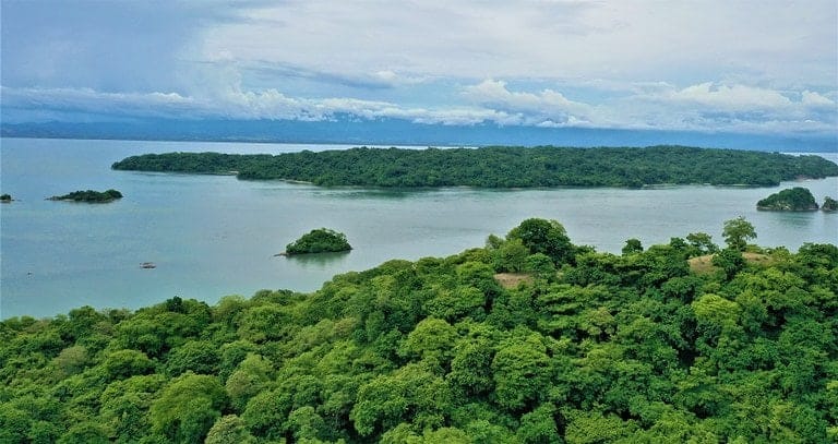 ll2200306_img_large-min