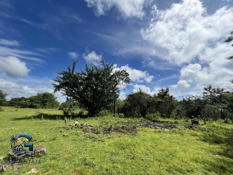 ll2200322_img-11_large