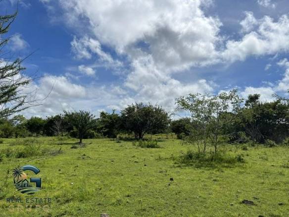 ll2200322_img-13_large