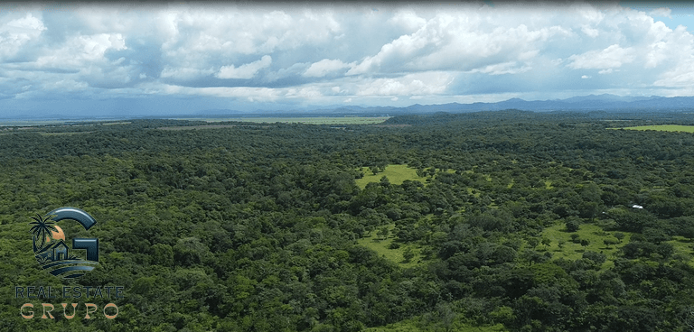 ll2200322_img-6_large