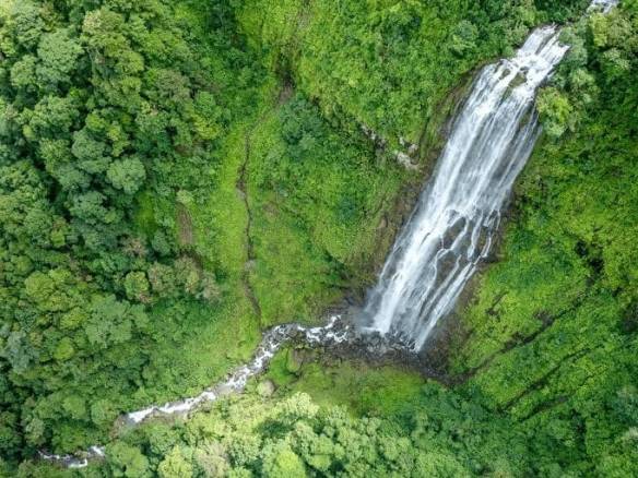 ll2200330_img-3_large-min