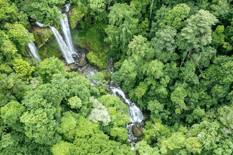 ll2200330_img-4_large-min