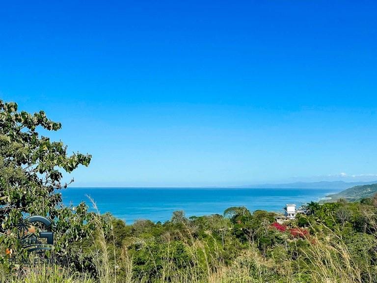 ll2300053_img-10_large (1)