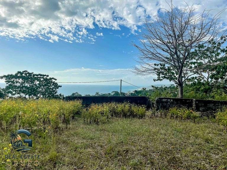 ll2300053_img-2_large