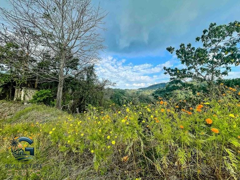 ll2300053_img-4_large