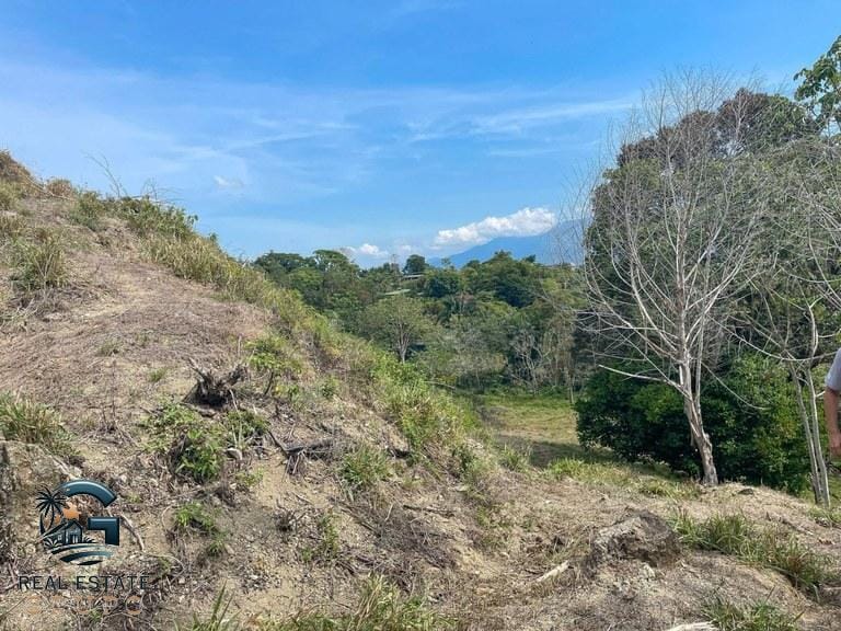 ll2300125_img-7_large