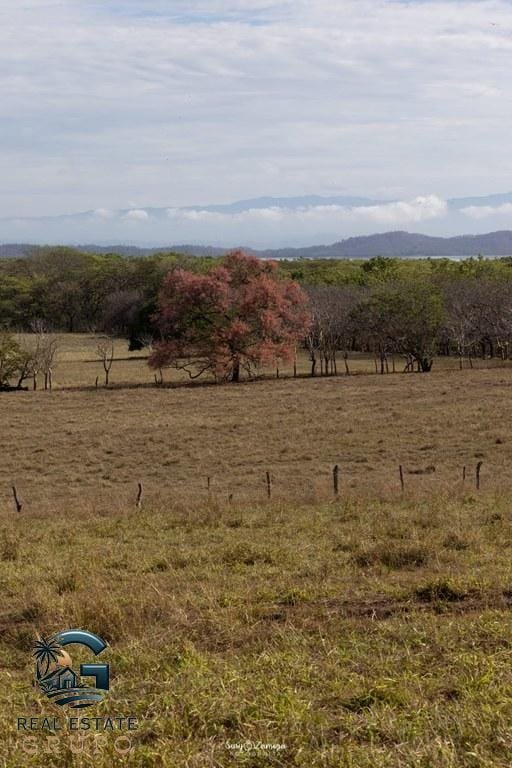 ll2300182_img-11_large