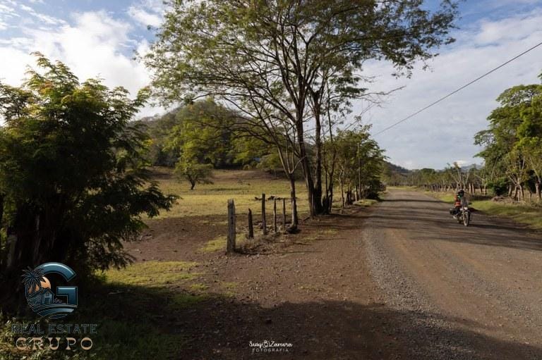 ll2300182_img-15_large