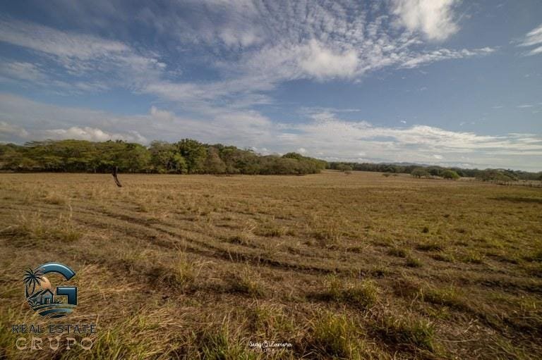 ll2300182_img-16_large