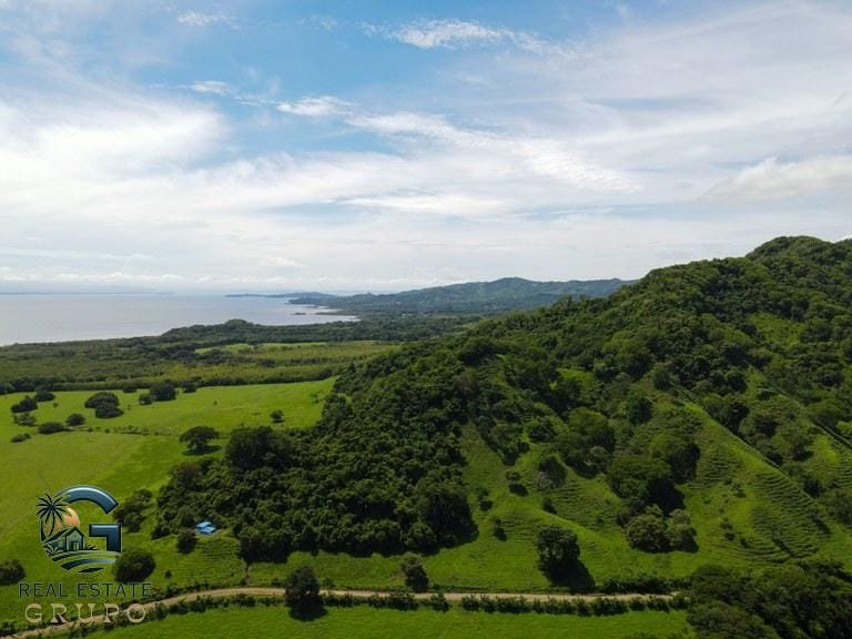 ll2300182_img-5_large