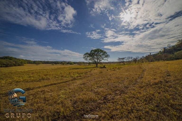 ll2300182_img-6_large