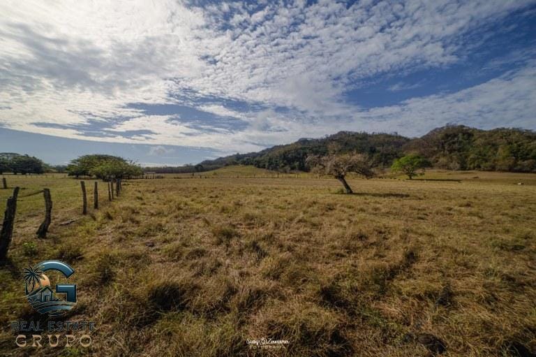 ll2300182_img-8_large