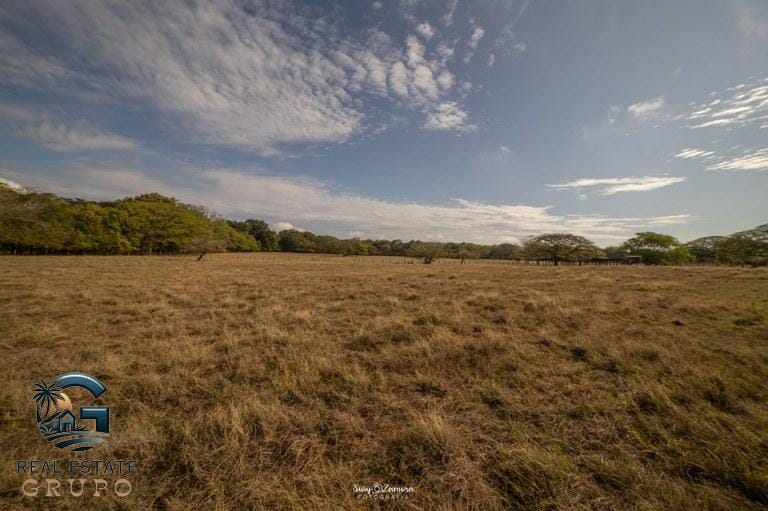 ll2300182_img-9_large