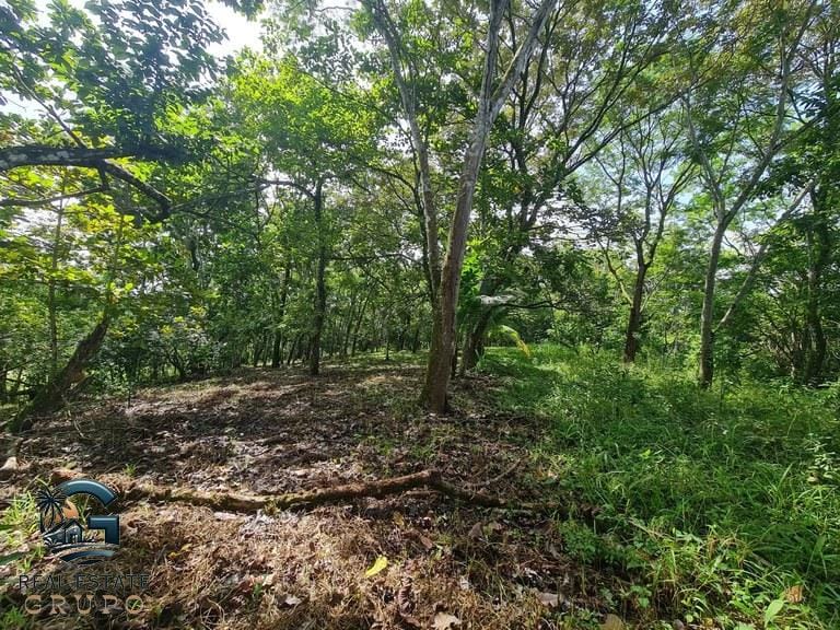 ll2300226_img-11_large