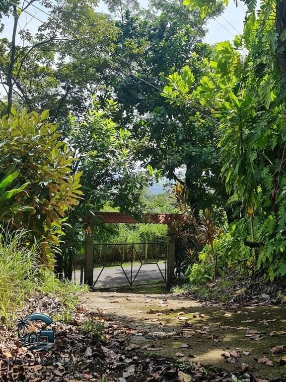 ll2300226_img-3_large