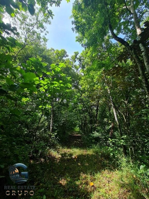 ll2300226_img-4_large