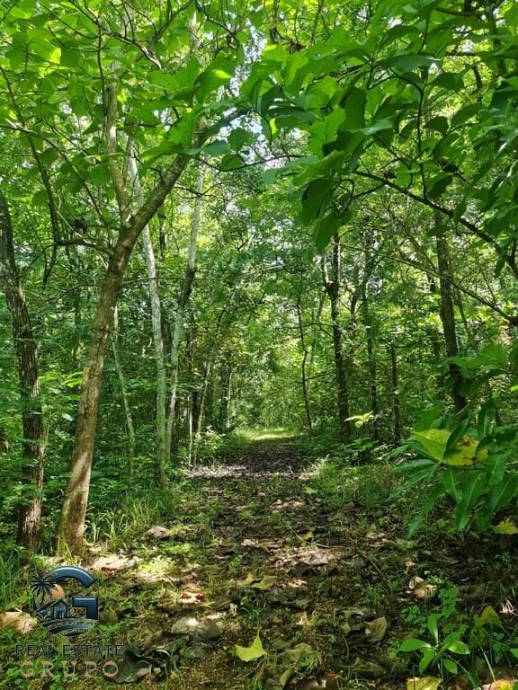 ll2300226_img-8_large