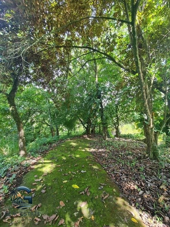 ll2300226_img-9_large