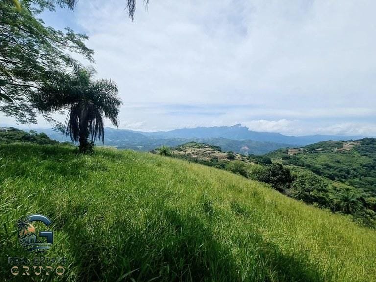 ll2300272_img-10_large