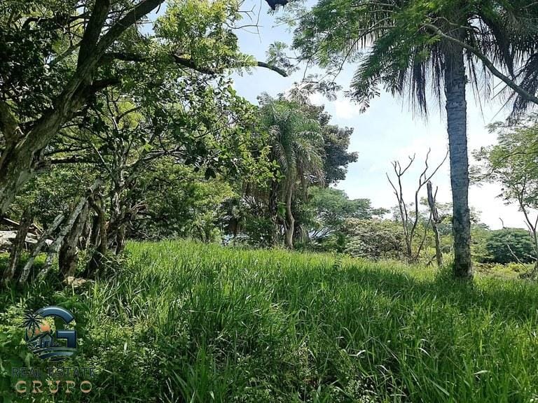 ll2300272_img-11_large