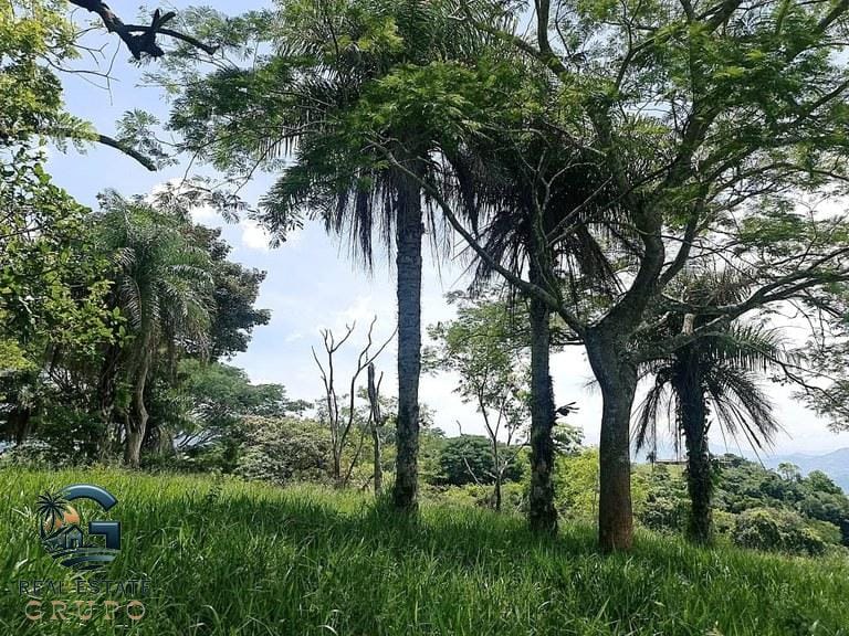 ll2300272_img-12_large