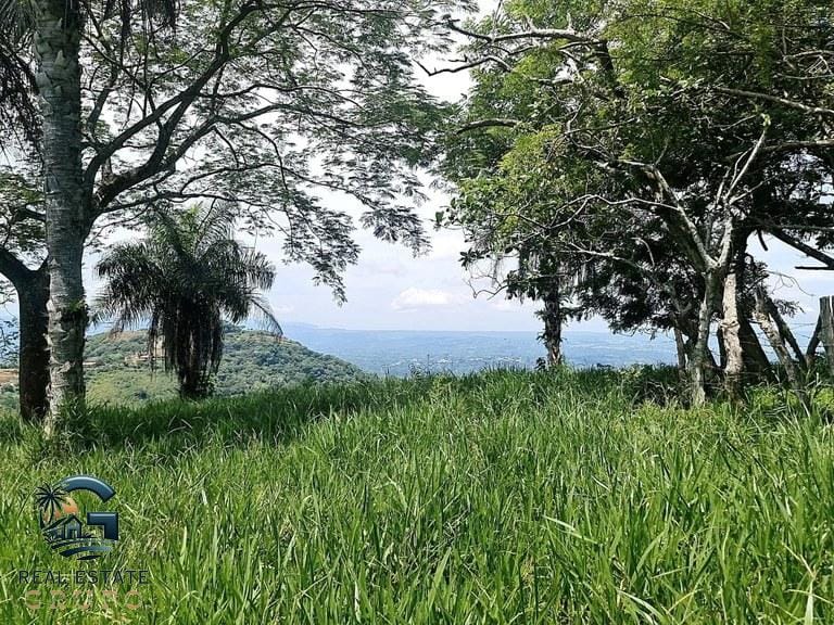 ll2300272_img-14_large